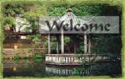 welcome2.jpg